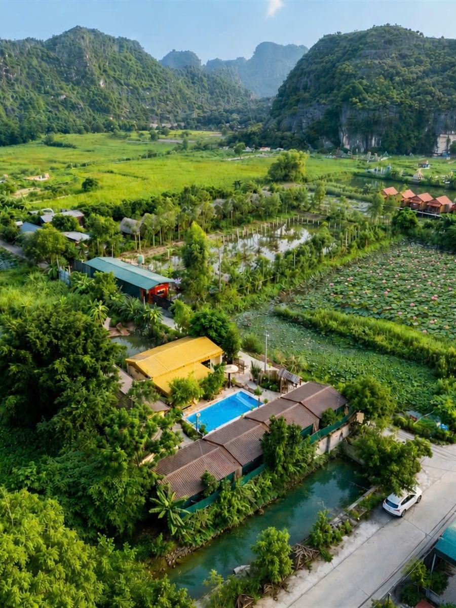 Bon's Homestay nhìn từ trên cao: bể bơi và dãy bungalow mái ngói nằm giữa ruộng lúa, đầm sen và những dãy núi đá vôi Ninh Bình